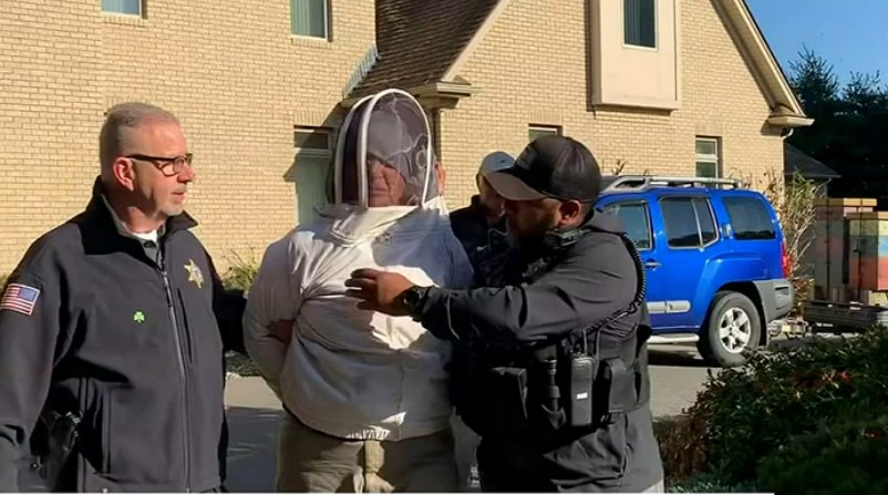 Woman unleashes bees on deputies