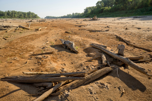 severe drought at Mississippi River