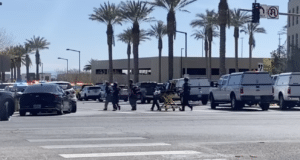 Lawyer Turns Gunman in Las Vegas Office