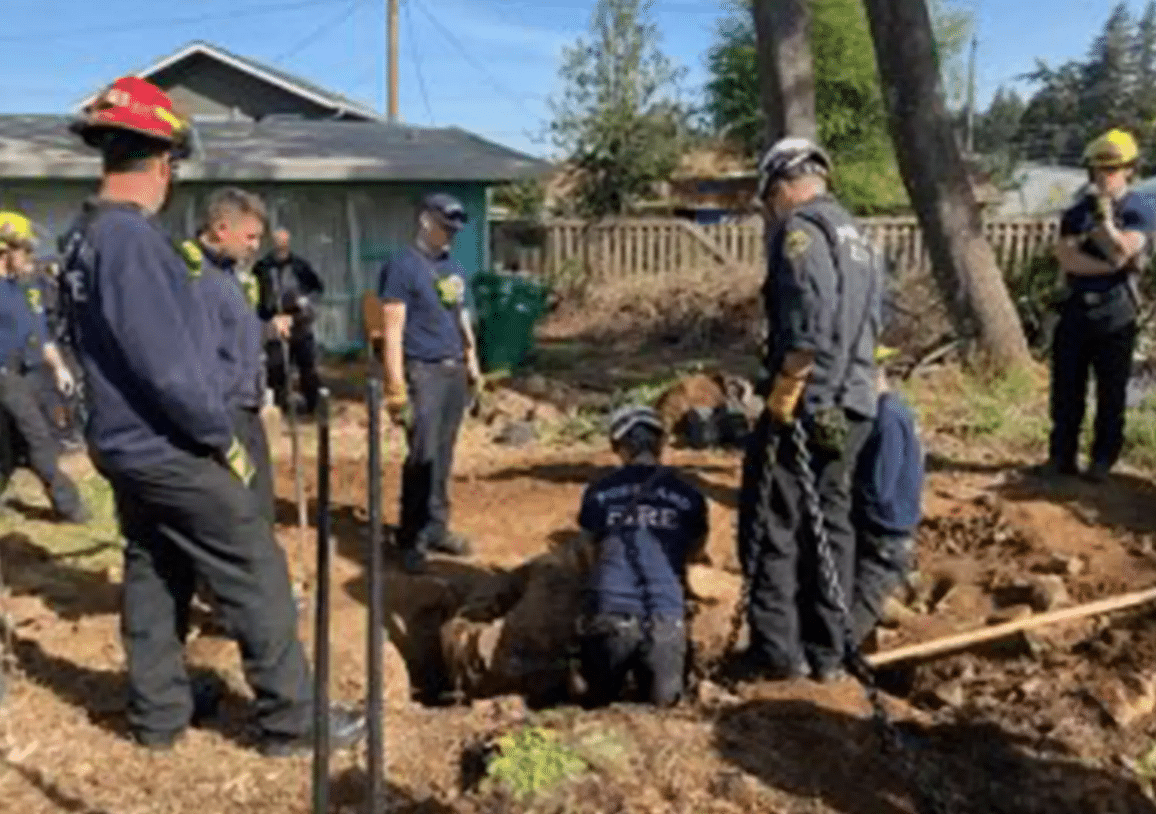 Man Tragically Crushed to Death by Tree Stump in Backyard Accident
