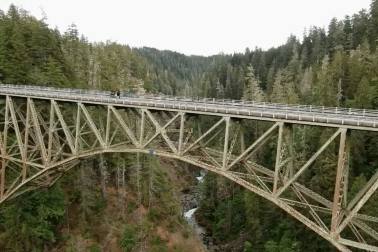 Teen survives 400-foot falls from bridge