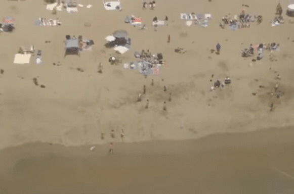 Shark attack closes popular beach on Memorial Day