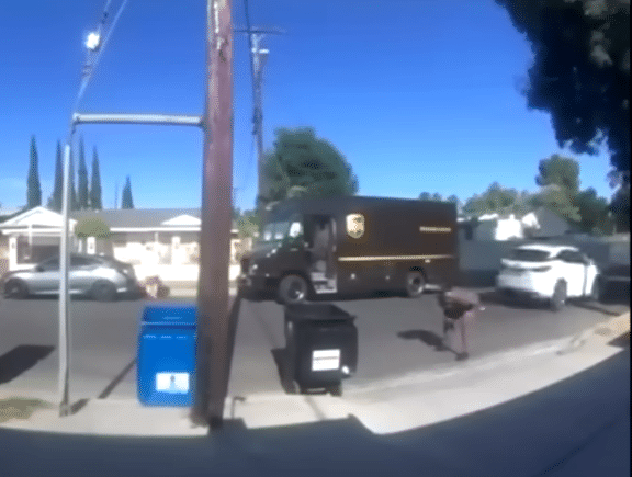 UPS driver kills dog