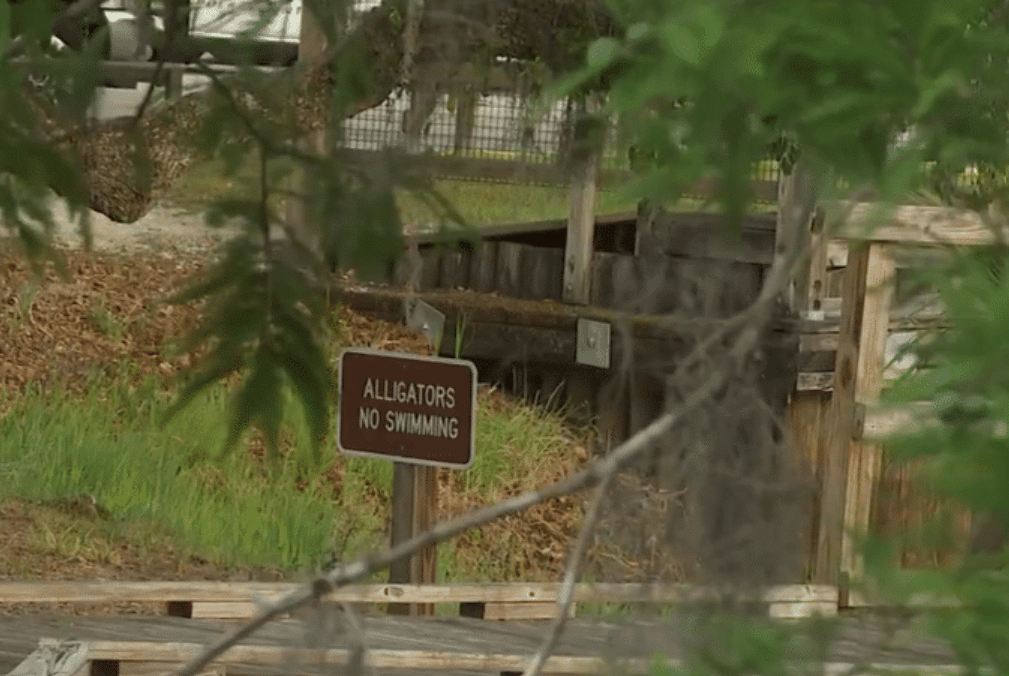 Woman Killed in Alligator Attack