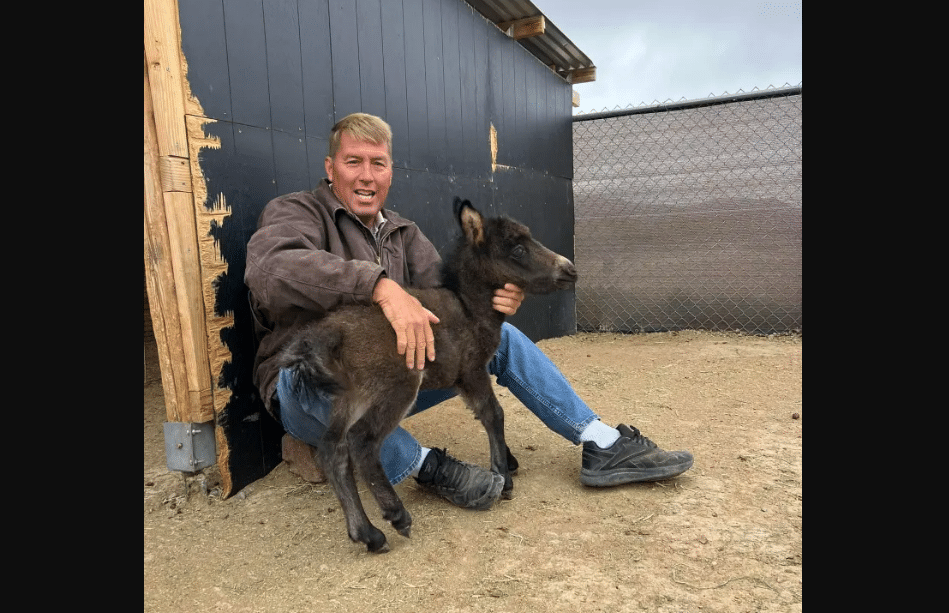 Cause of Death Revealed for Veterinarian Found Dead in Lake