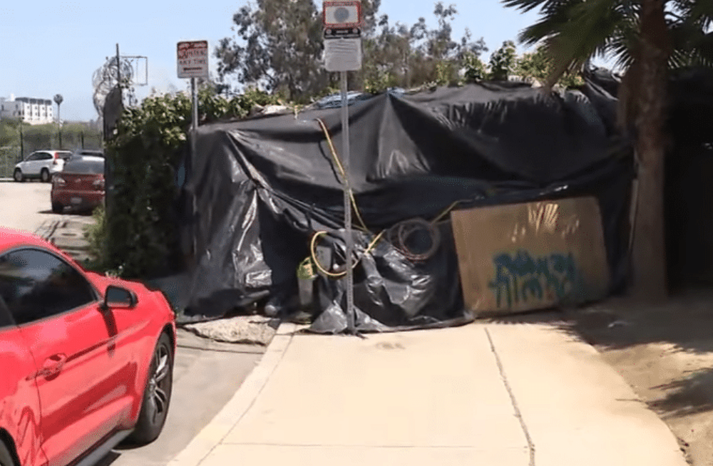 Two Bodies Found Being Eaten by Dogs in Homeless Encampment
