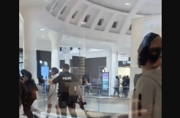 TikTok Posts Leads to Massive Brawl Breaking Out at Mall