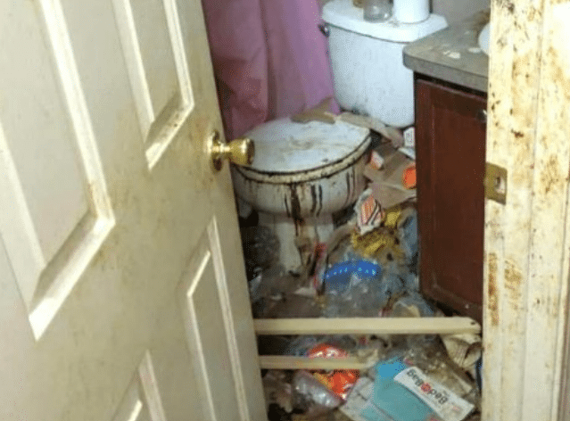 Children Found Living in Feces Filled Home, Mother Charged