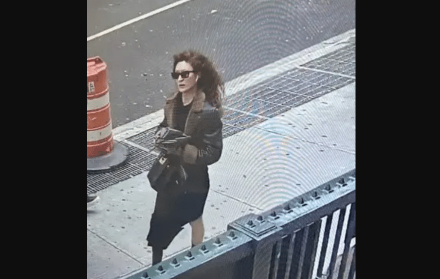 Well-dressed Woman Stabs Photographer
