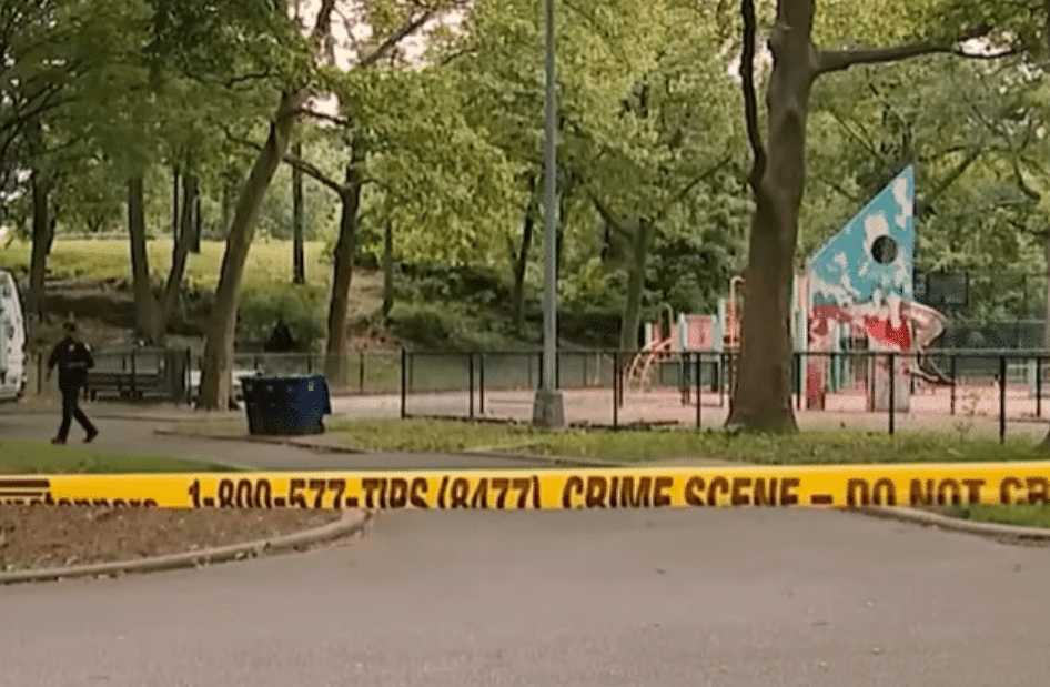 Teen Killed in Busy Park with Kids Playing