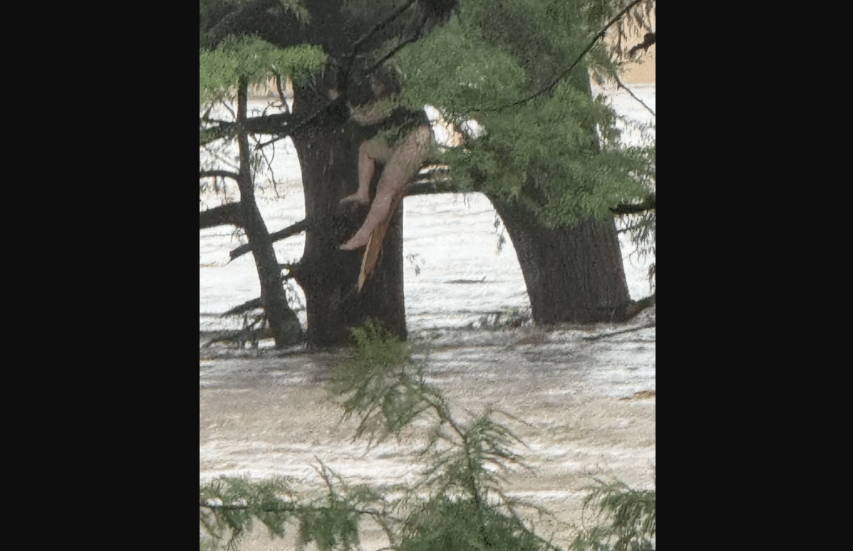 Woman Rescued From Tree After Being Swept 20 Miles in Floods