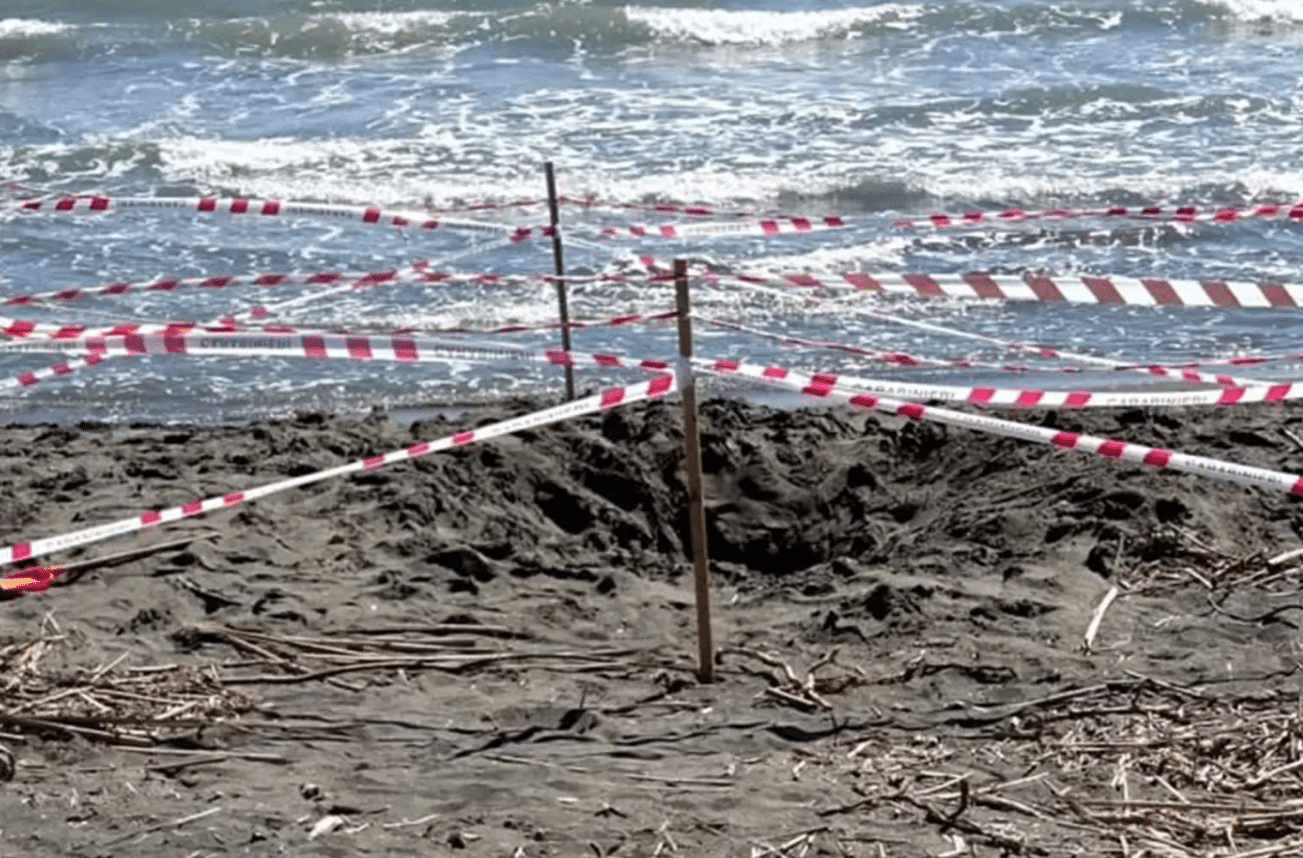 Teen Dies in Sand Tunnel Collapse at Beach