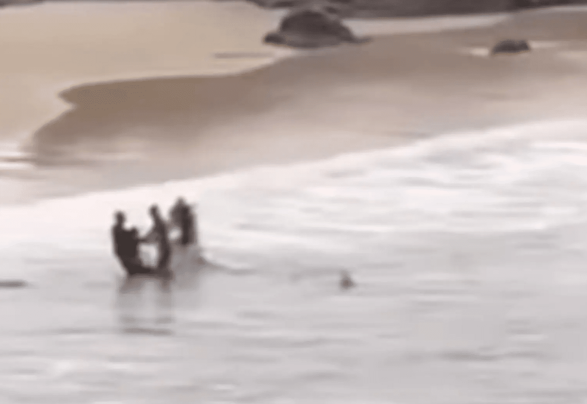 Shark Chases Teen to Land After Mauling Him Off Popular Beach