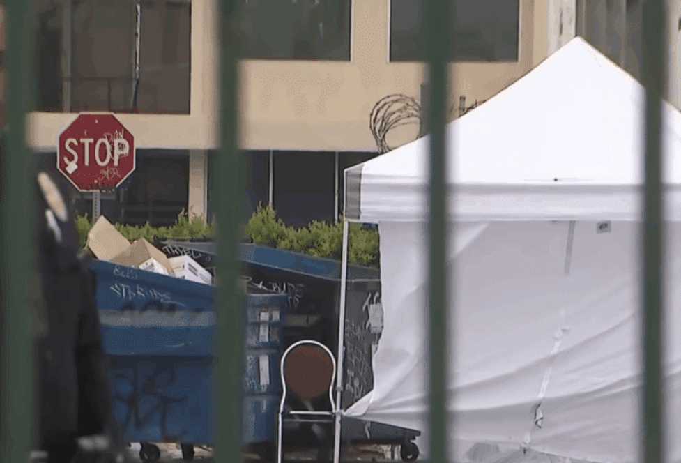 Toddler Found Dead in Local Parking Lot