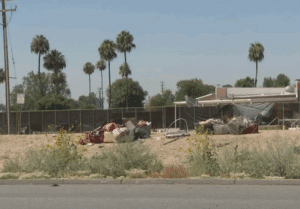 Woman Torn Apart in Stray Dog Attack