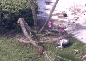 Two Killed in Tragic Plane Crash