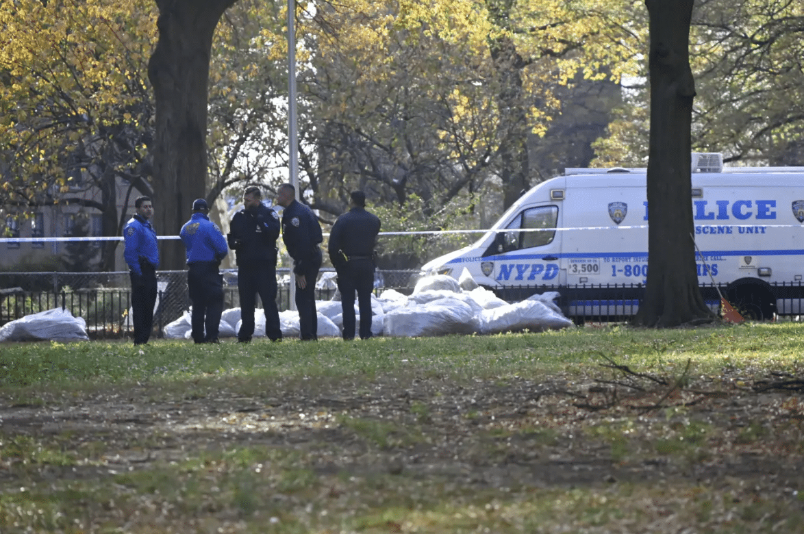 Dead Baby Found Stuffed in Bag, in Pile of Leaves