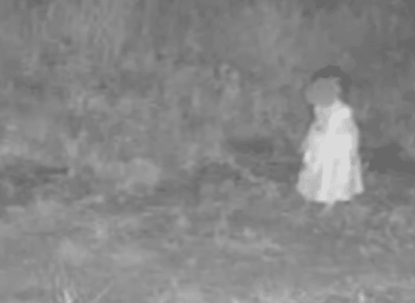 Toddler Found Wandering in Woods, Mother Arrested