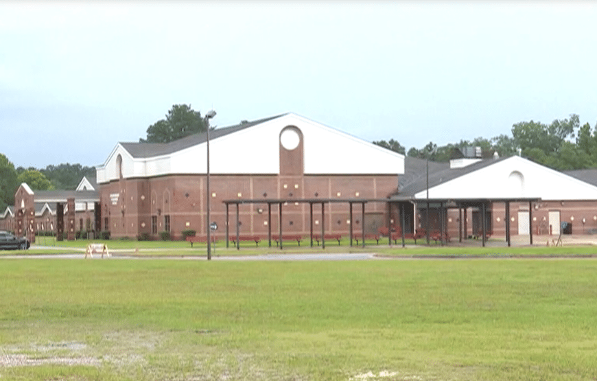 Dogs Maul 9-Year-Old, Teacher at School