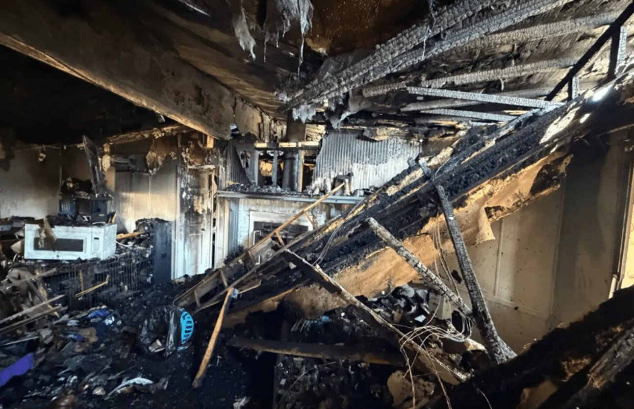 Squirrel Causes House Fire