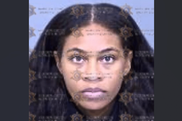 Passenger Stabbed 12+ Time on Train