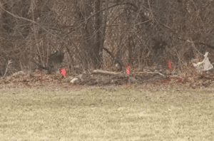 Two Young Girls Found Dead Near School