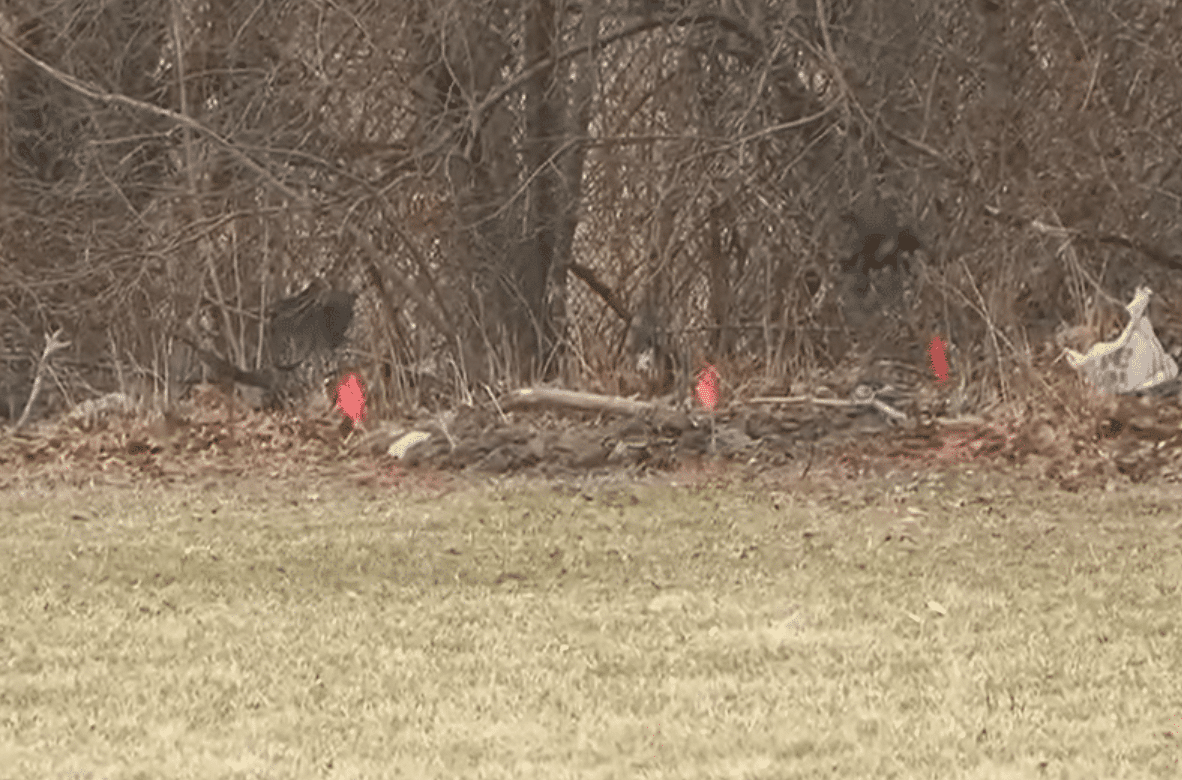 Two Young Girls Found Dead Near School