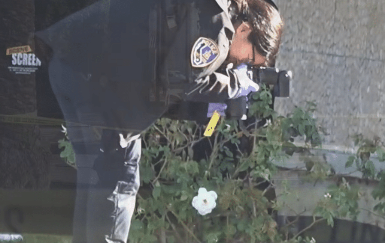 Two Bodies Are Found Near Courthouse