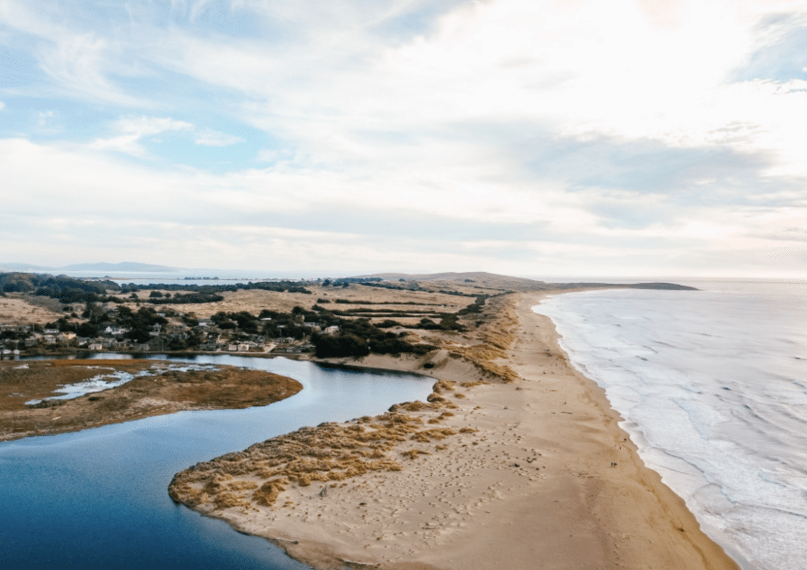 Severed Leg Found on Beach