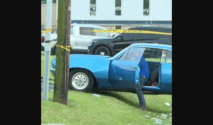 Driver Plows into Parade, Dozens Hurt