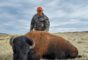 Millionaire Trampled to Death by Elephants