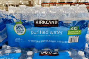 Kirkland Water Via AI Image
