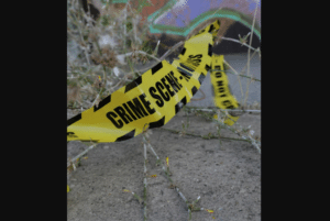 Husband Witnesses Wife's Death in Savage Dog Attack