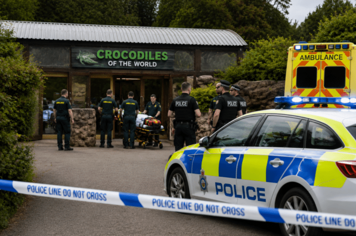 Man Throws Toddler Into Crocodile Enclosure at Zoo
