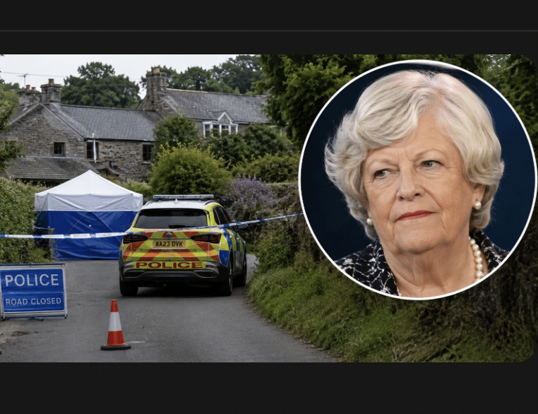 Ann Widdecombe in Estate Via AI Image