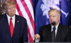 Lindsey Graham Dies Suddenly at 71