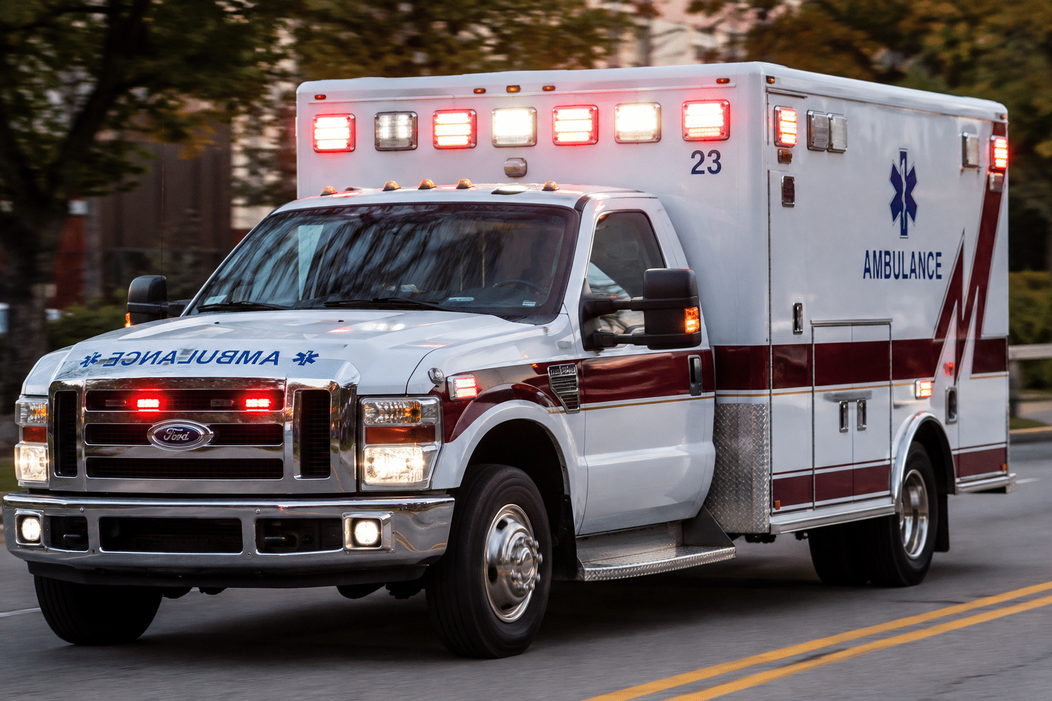 Pregnant Woman Expecting Twins Mauled in Terrifying Dog Attack