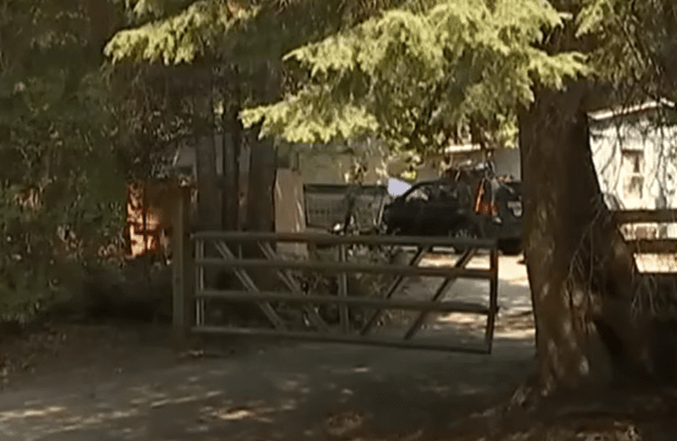 5-Year-Old Girl Found Dead After Animal Attack