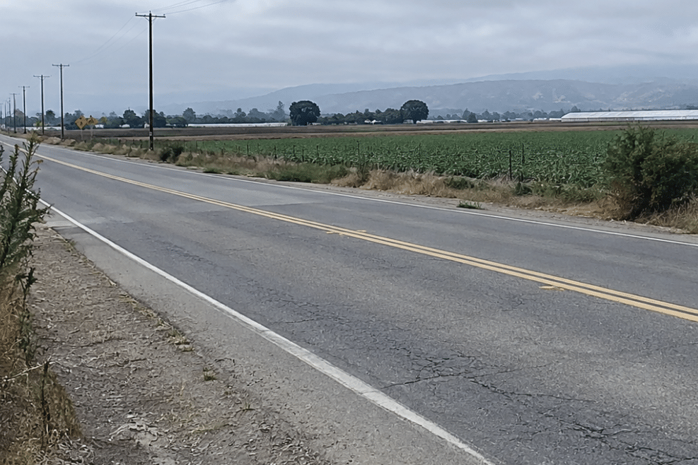 Newborn Found Dead Along Roadside in Disturbing Case