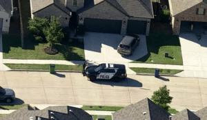Mother Accused of Attacking Husband, Toddler and Infant