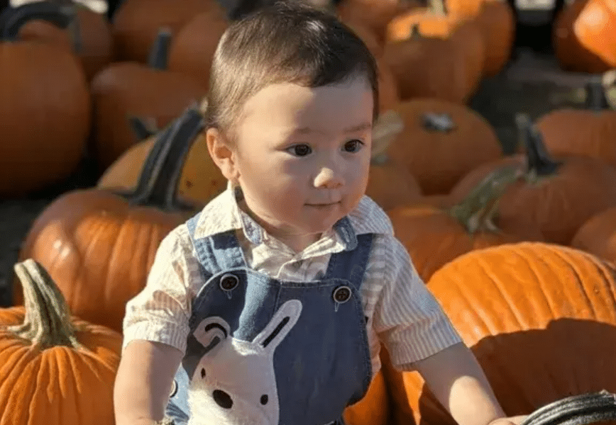 Boy, 2, Killed While Pumpkin Picking With His Family
