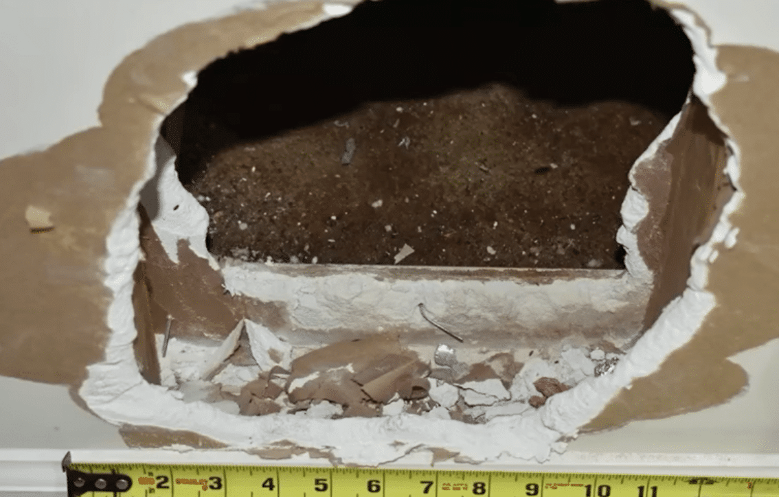 11-Year-Old Breaks Through Closet Wall to Escape Captivity