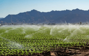 Illegal Dumping Near Crops Raises Nationwide Food Concerns