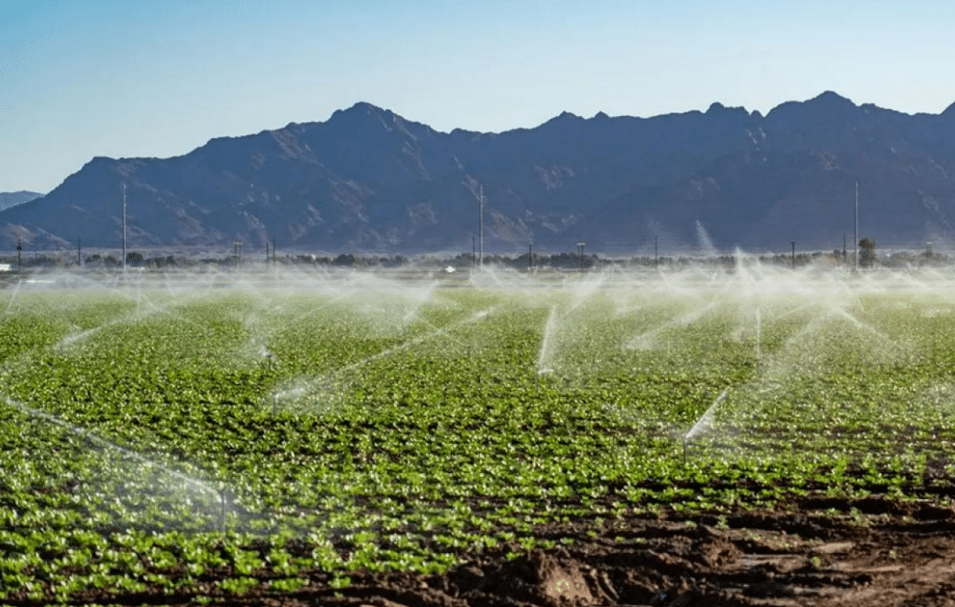 Illegal Dumping Near Crops Raises Nationwide Food Concerns